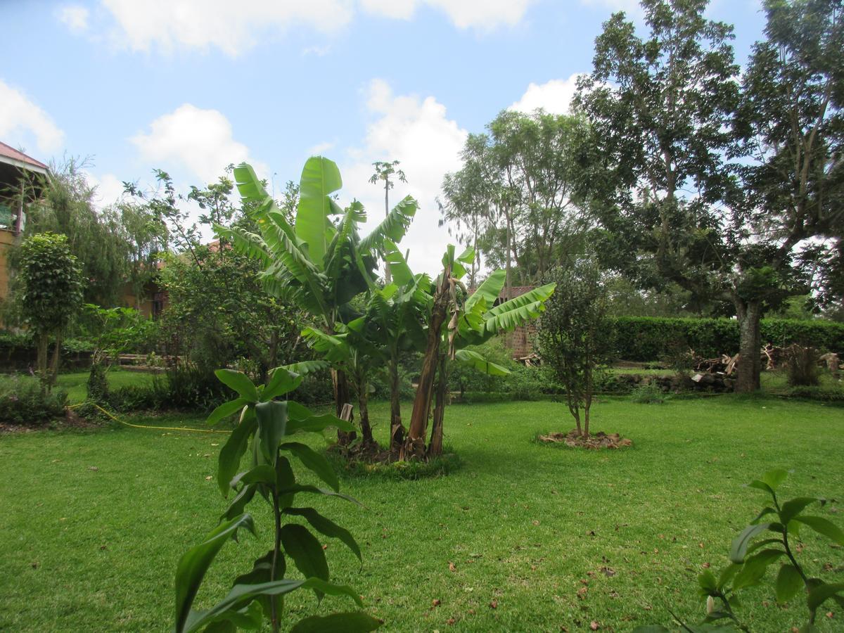 Kilimanjaro Eco Lodge Usa River Eksteriør bilde